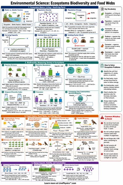 Ecosystems Biodiversity and Food Webs
