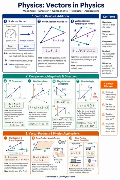 Vectors in Physics