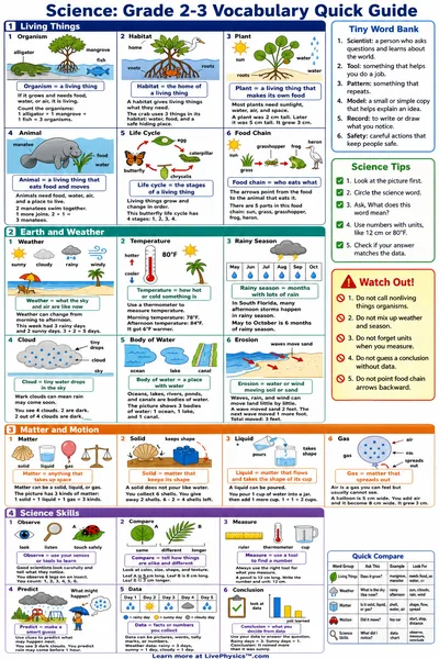 Grade 2-3 Vocabulary Quick Guide