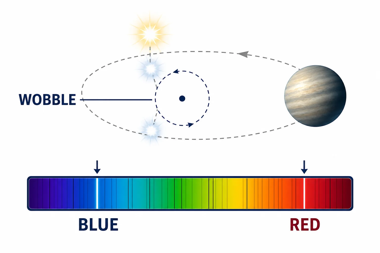 A star wobbling around a small center point while a planet orbits, with simplified red and blue wavelength shifts.