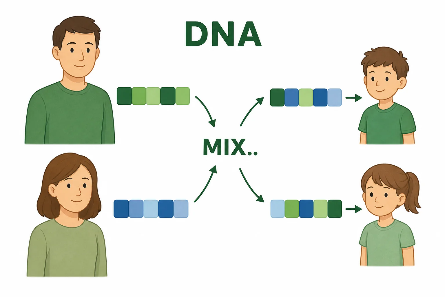 Simplified DNA strands and parent-to-child inheritance arrows showing shared and different gene versions in twins.