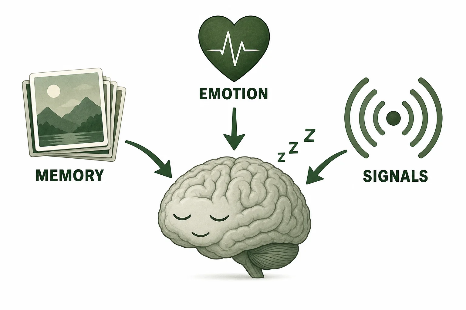 Three scientific explanations for dreaming shown as memory, emotion, and brain signals feeding into a sleeping brain