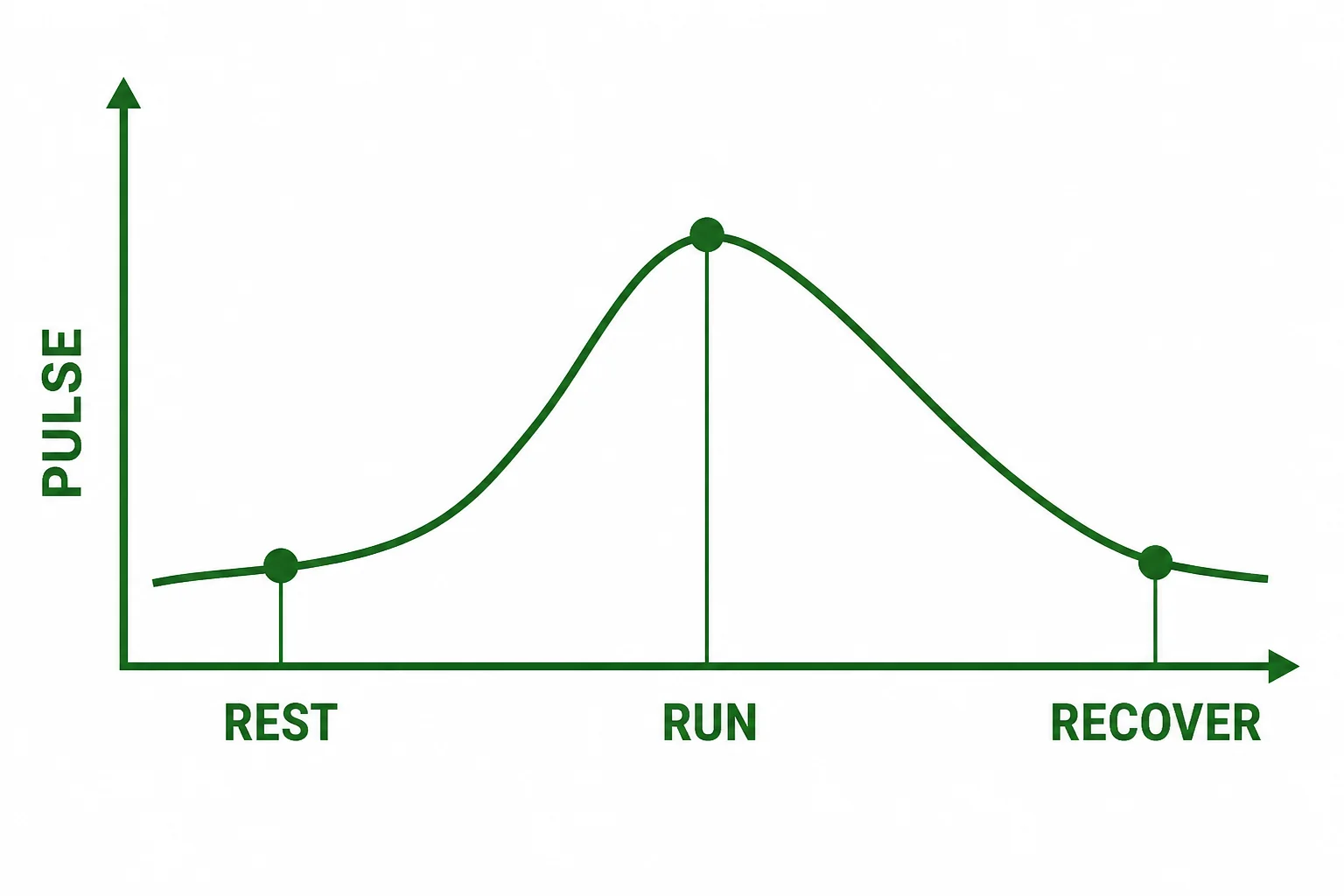 A simple line graph of pulse rate before running, immediately after running, and during recovery as it moves back toward resting level.