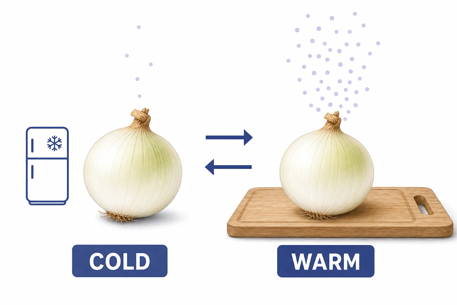 A chilled onion from a refrigerator releasing fewer particles than a warm onion on a counter