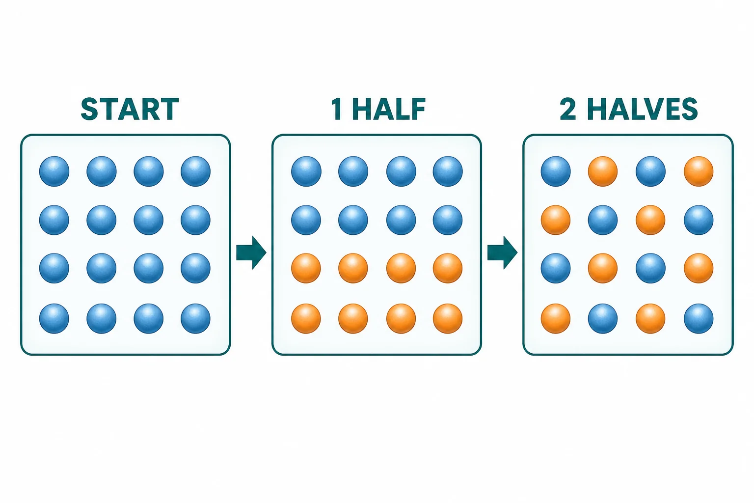 Half-life diagram showing parent atoms decreasing and daughter atoms increasing over three time steps