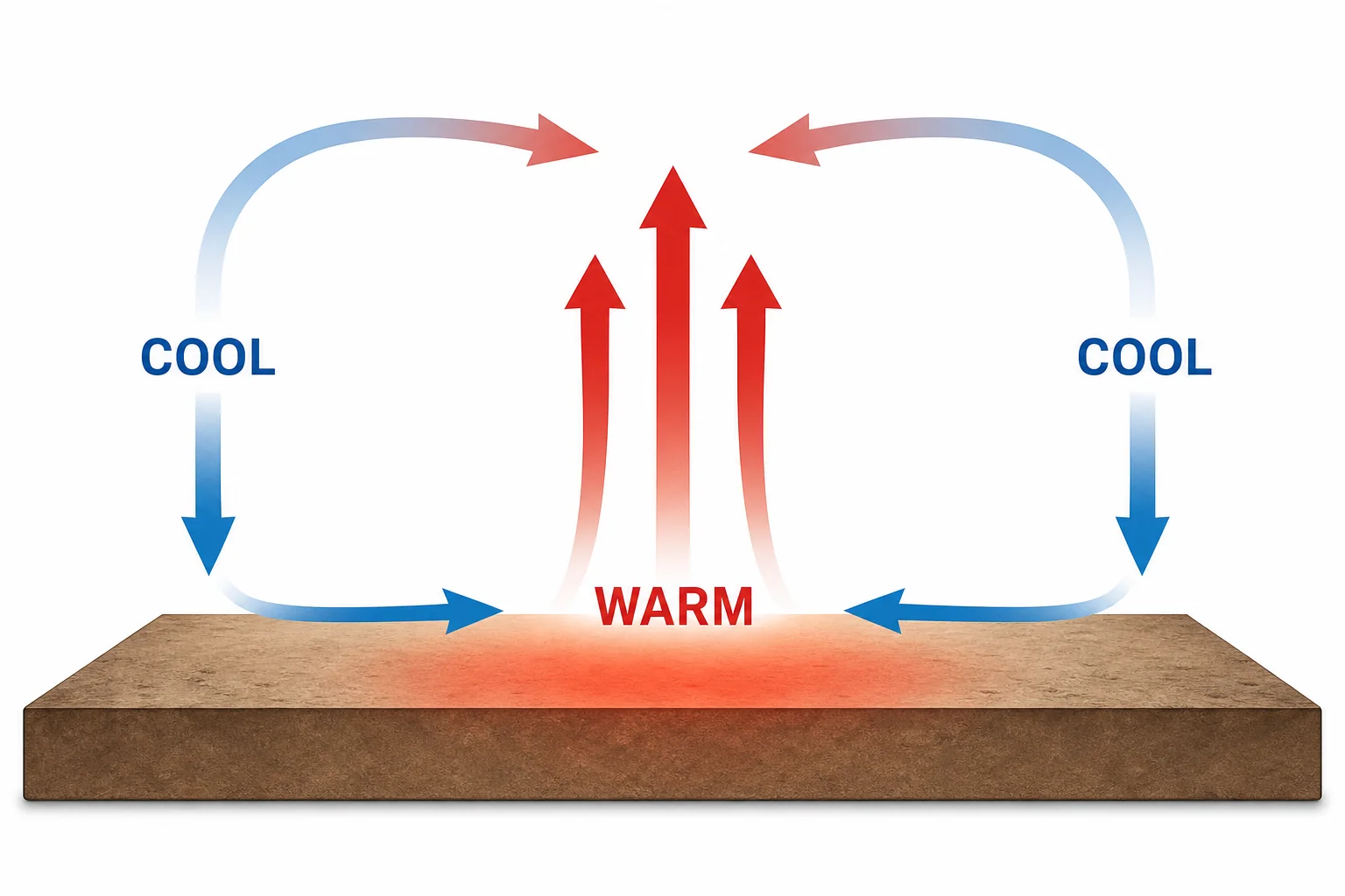 Circular convection pattern with warm air rising, cooler air sinking, and surface wind moving toward the warm area