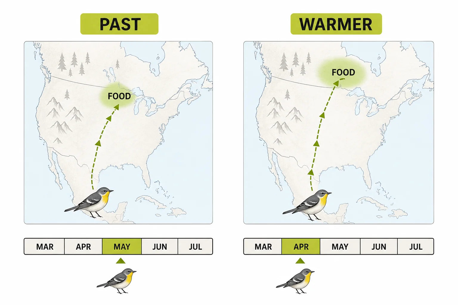 Comparison diagram showing a traditional migration route and a shifted resource zone caused by warmer conditions.