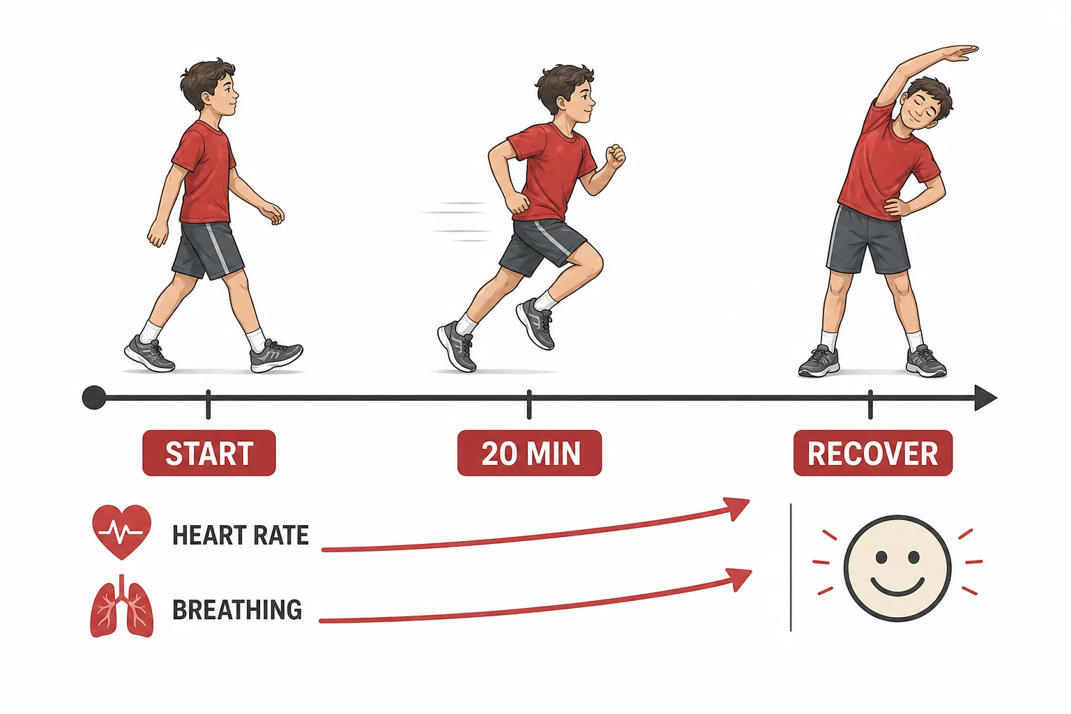 Timeline showing changes in heart rate, breathing, and mood during a 20 minute exercise session