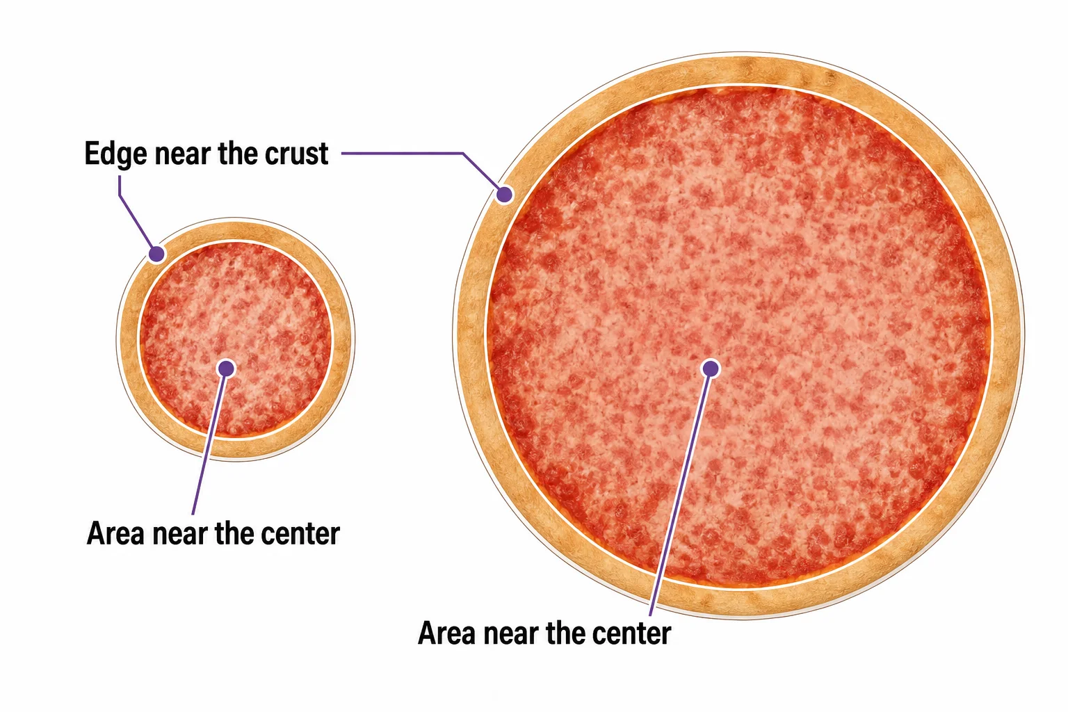 Small and large pizzas with crust edges highlighted and centers shaded to compare circumference and area.