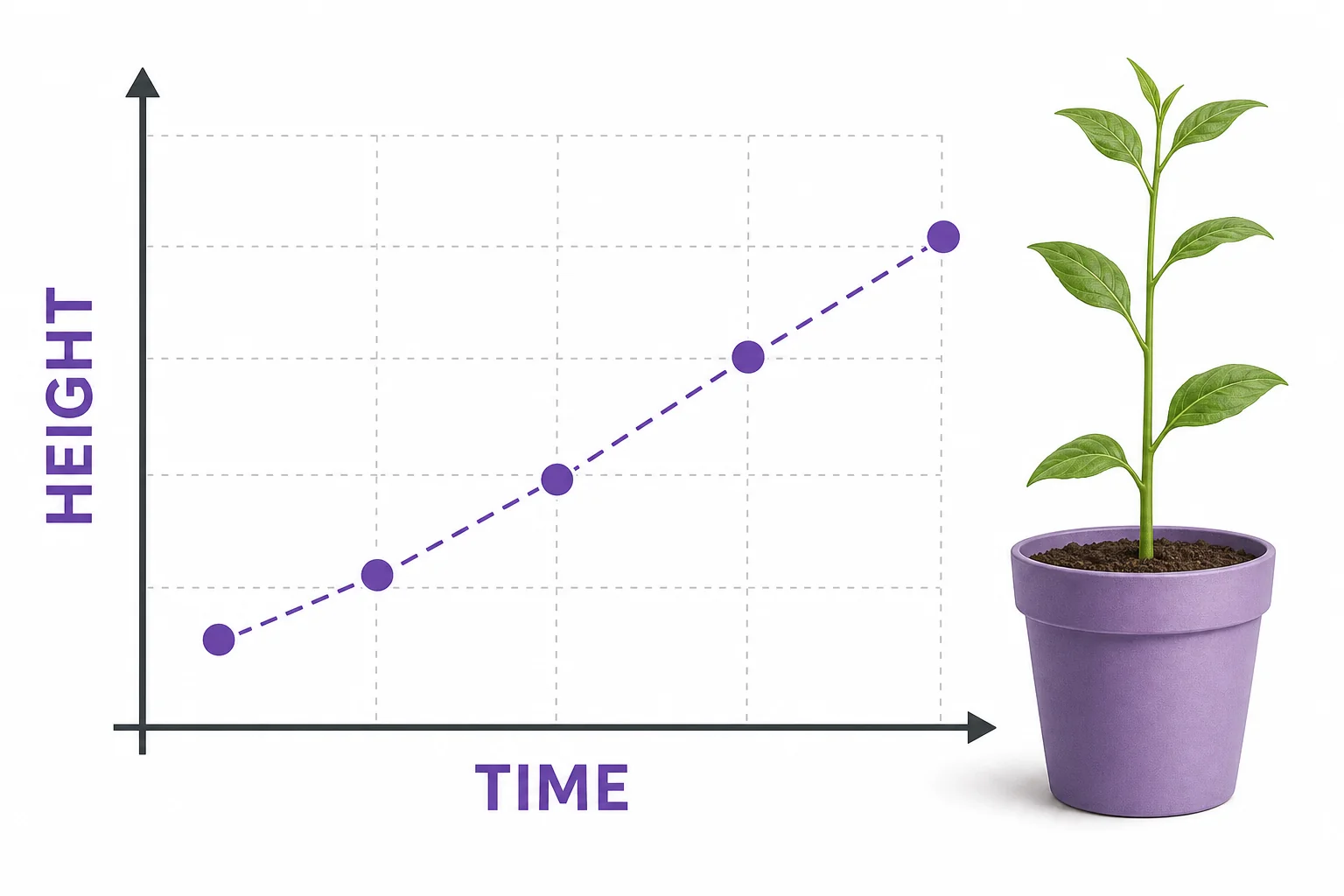 A coordinate plane with a horizontal time axis, a vertical height axis, and a few plotted points showing plant growth