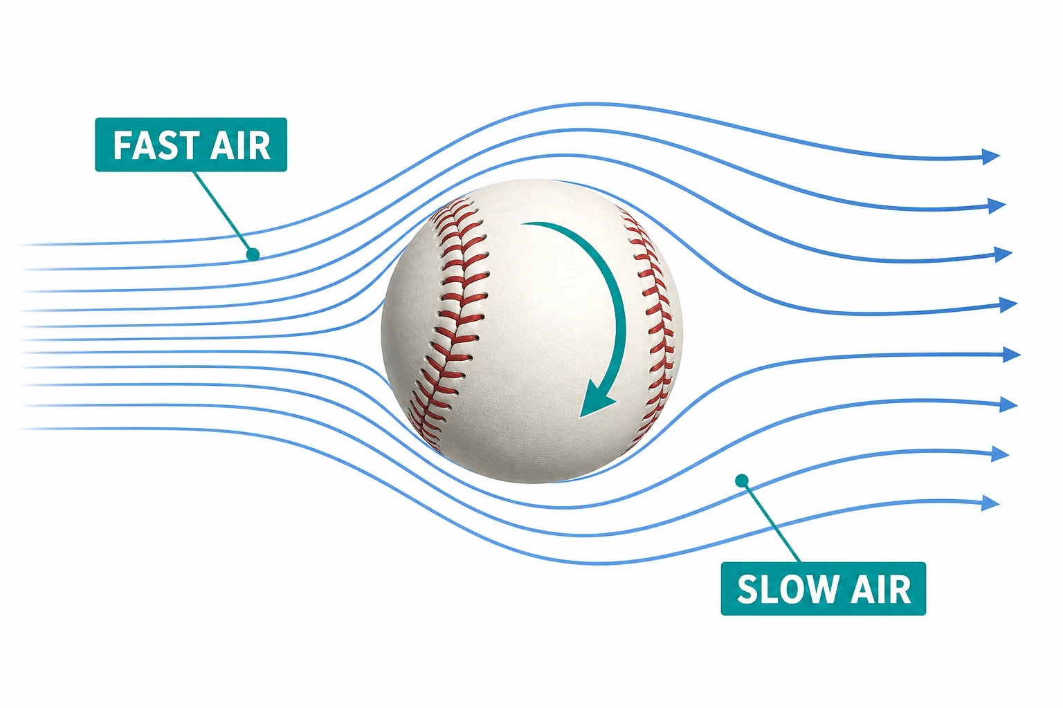 A spinning baseball with airflow lines moving faster on one side and slower on the other side.
