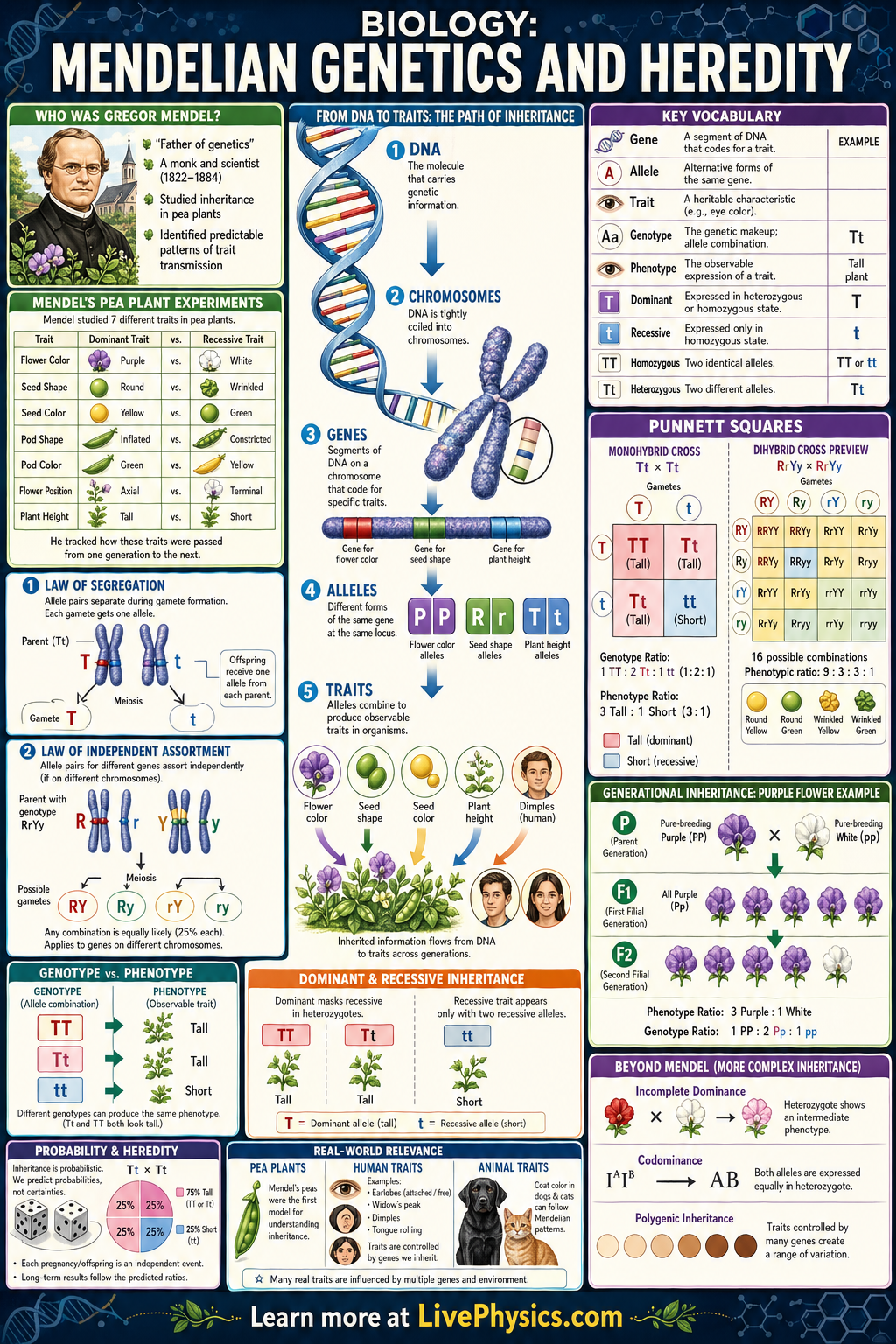 Genetics and Heredity