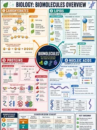 Biomolecules Overview