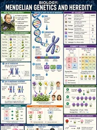 Genetics and Heredity infographic thumbnail