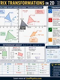 Matrix Transformations in 2D infographic thumbnail