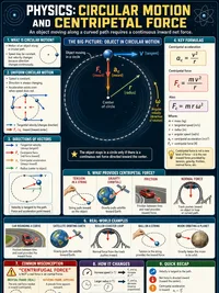 Circular Motion & Centripetal Force infographic thumbnail