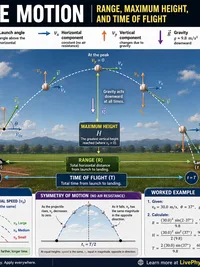 Projectile Motion infographic thumbnail