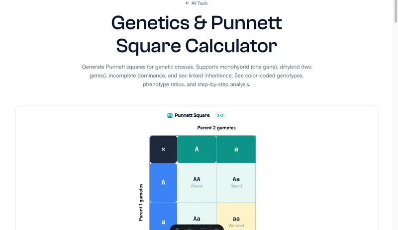 Punnett Square Calculator