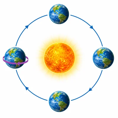 Earth orbiting the Sun with a separate curved arrow showing Earth rotating.
