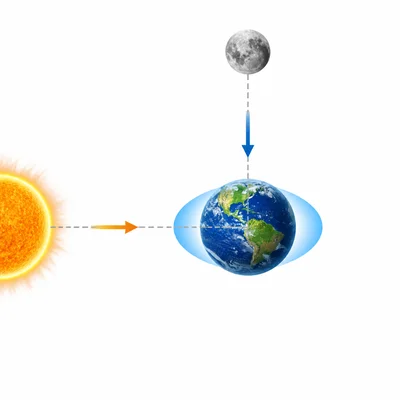 Sun and Moon pull at right angles, making smaller tidal bulges for neap tides.