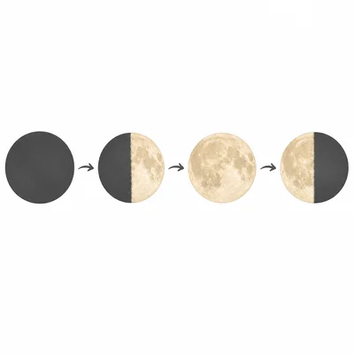 Four Moon phases shown in order from dark Moon to quarter, full, and opposite quarter.