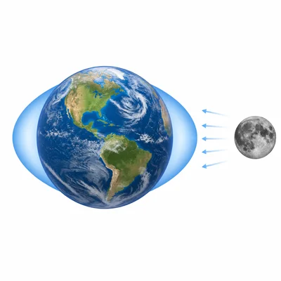 The Moon’s gravity creates ocean bulges on Earth, showing tides.