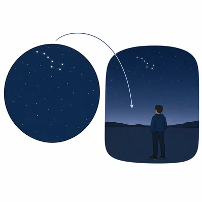 A star map with a constellation near the top matched to a student looking toward the northern horizon.