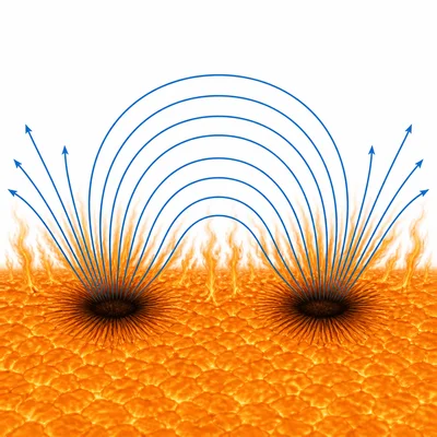 Magnetic field lines looping between sunspots on the Sun.