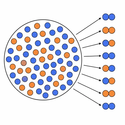 Allele pool with two allele types shown in different colors and mixed-color pairs representing heterozygotes.