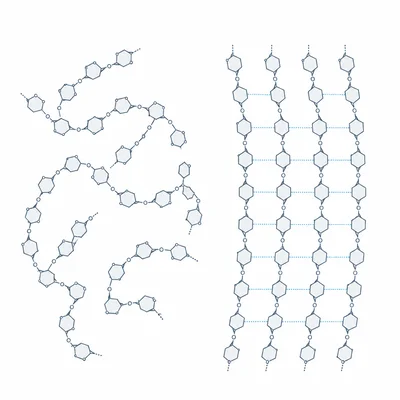 A coiled branched starch-like polymer beside straight parallel cellulose-like fibers.