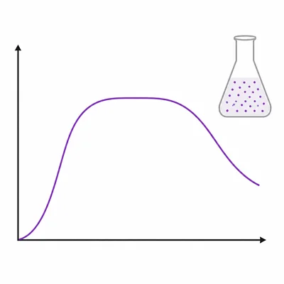 Unlabeled yeast population graph showing rapid increase, plateau, and decline, with a small flask of yeast.