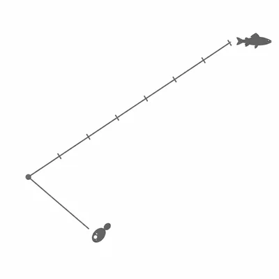 A phylogenetic tree with one branch much longer than another, suggesting more genetic change.