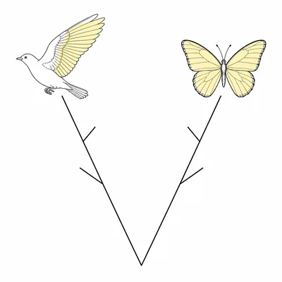 A tree showing bird and butterfly on distant branches with their wings highlighted as similar features.