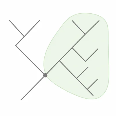 A cladogram with one ancestor and all of its descendants shaded as a clade.