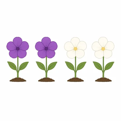 Four offspring icons split evenly between dominant and recessive visible traits.