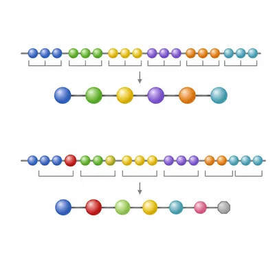 Insertion of one bead shifts triplet groupings and changes the resulting protein chain.