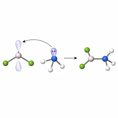 Lewis base lone pair donating to an electron-deficient trigonal planar molecule to form an adduct.