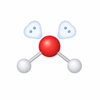 Bent water molecule with two bonds and two lone pairs on the central oxygen atom.