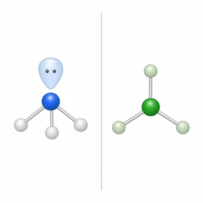 Comparison of trigonal pyramidal geometry with a lone pair and trigonal planar geometry without a lone pair.