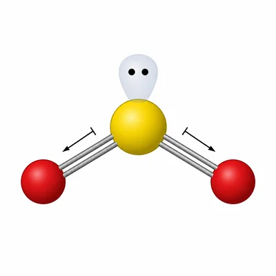 Bent sulfur dioxide molecule with two bonding regions and one lone pair on the central atom.