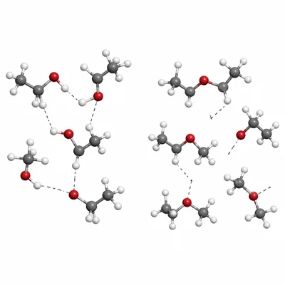 Ethanol molecules hydrogen bond, while dimethyl ether molecules show weaker attractions.