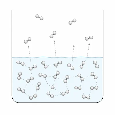 Molecules escaping from a liquid with weak intermolecular attractions.