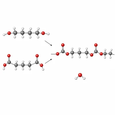 A diol and dicarboxylic acid forming a polyester ester linkage and releasing water.