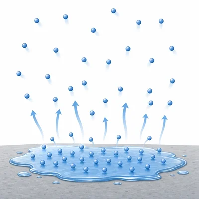 Water particles evaporate from a puddle and spread into the air as vapor.