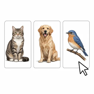 Three animal list boxes with the bird selected.