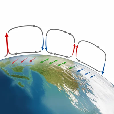 Unlabeled model of Northern Hemisphere atmospheric circulation cells and surface wind belts.