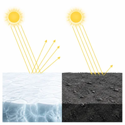 Diagram comparing high-albedo ice reflecting sunlight with a dark surface absorbing sunlight.