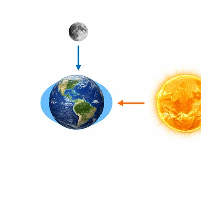 Sun and Moon pulling on Earth at a right angle with smaller tide bulges.