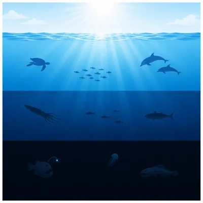 Ocean cross-section showing bright, dim, and dark depth zones.