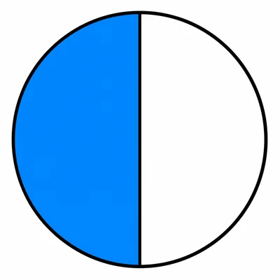 A circle divided into 2 equal halves by a vertical line through the center. The left half is shaded solid blue and the right half is white, with a clean black circular border.